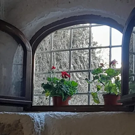 La Posta Di Tagliavento Semesterbostad Forio di Ischia