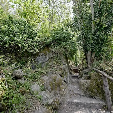 بيت للعطل La Posta Di Tagliavento Forio di Ischia